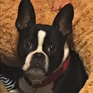 Meet your Posher, Lilly